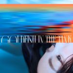 【派歌新发行】薛诒丹《孤独金鱼图鉴》，八首歌曲、八缸情绪，描绘关于孤独、爱与渴望的情感故事